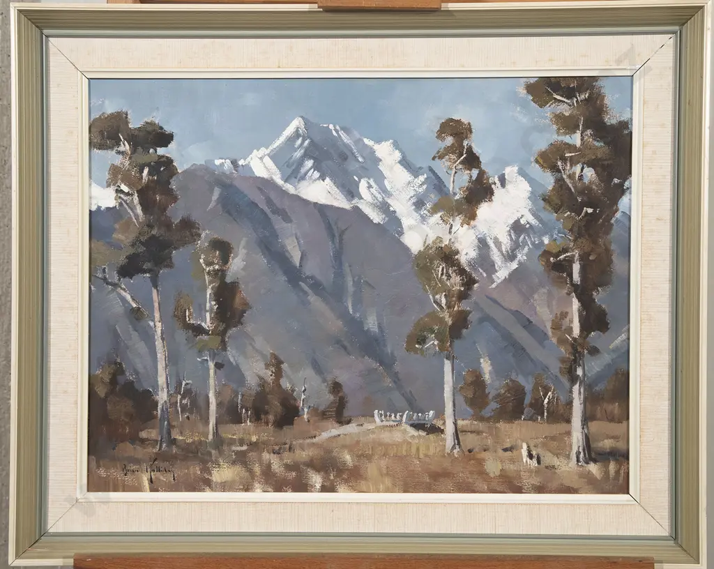 Brian Halliday - Mt Cook Image 1++