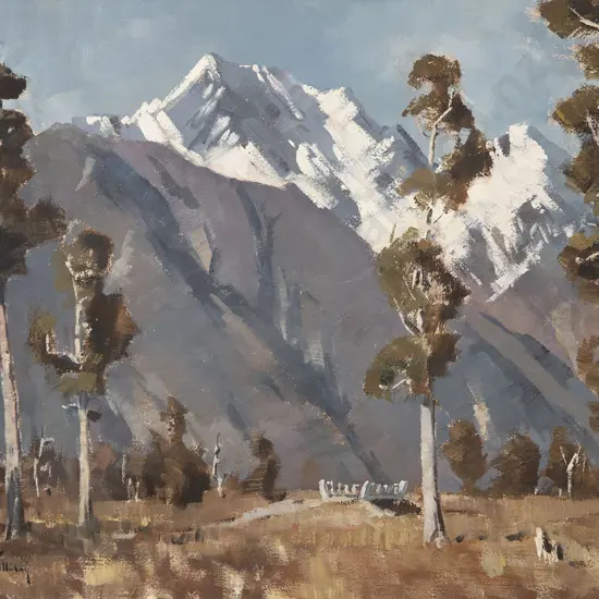 Brian Halliday - Mt Cook