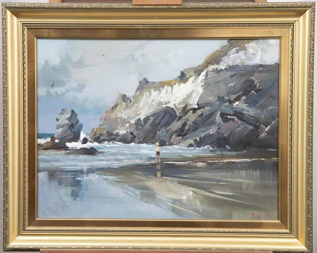 Don R Neilson - Castlepoint Headland Image 1++