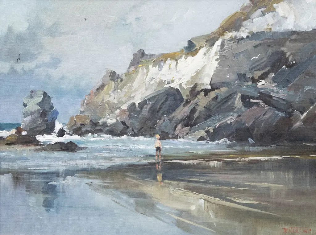 Don R Neilson - Castlepoint Headland Image 1++