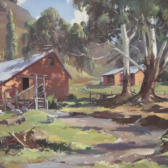 Peter Brown - Hawkes Bay Pastoral