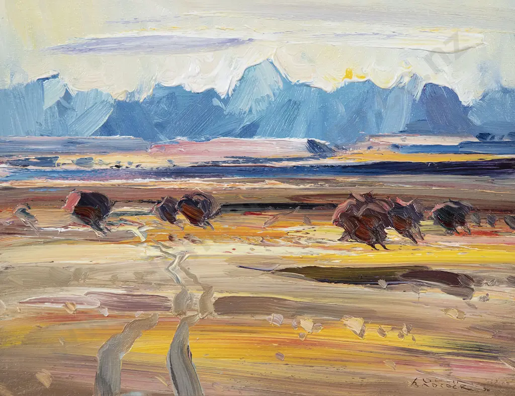 John Badcock - Mt Cook from Edwards Stream Image 1++