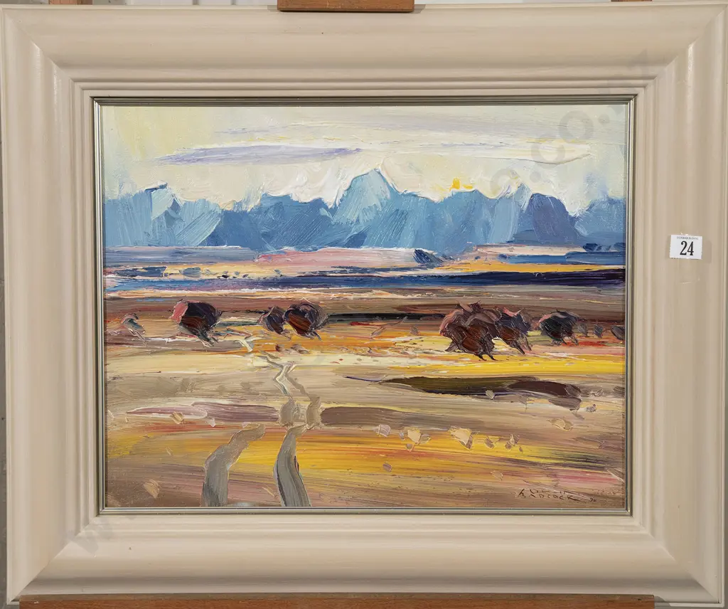 John Badcock - Mt Cook from Edwards Stream Image 1++