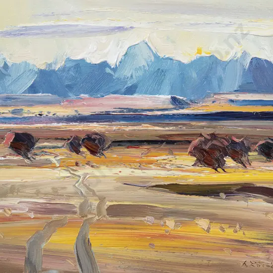 John Badcock - Mt Cook from Edwards Stream