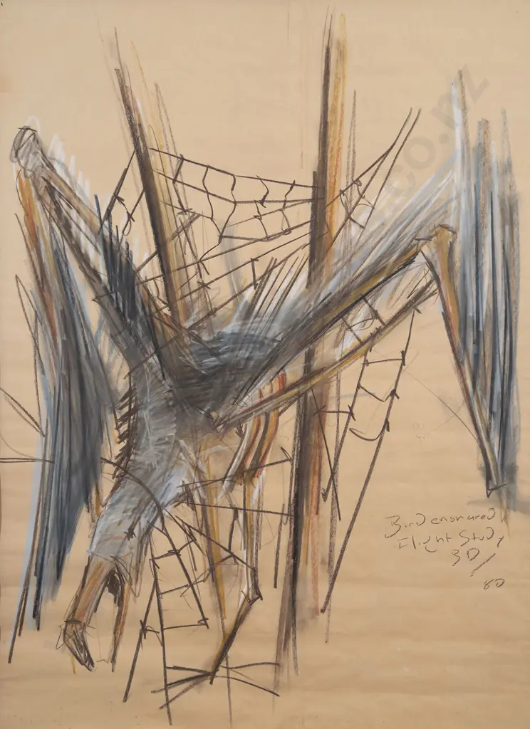 Bing Dawe - Bird Ensnared: Flight Study Image 1++