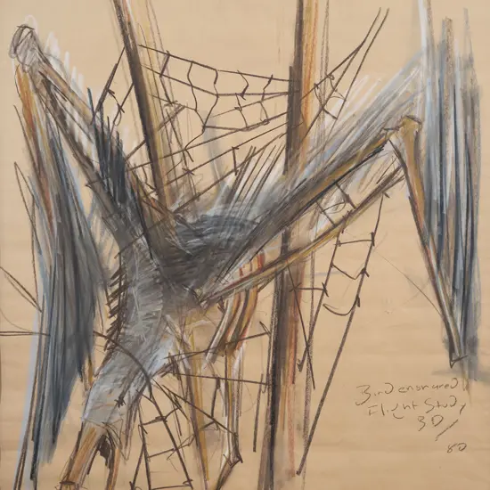 Bing Dawe - Bird Ensnared: Flight Study