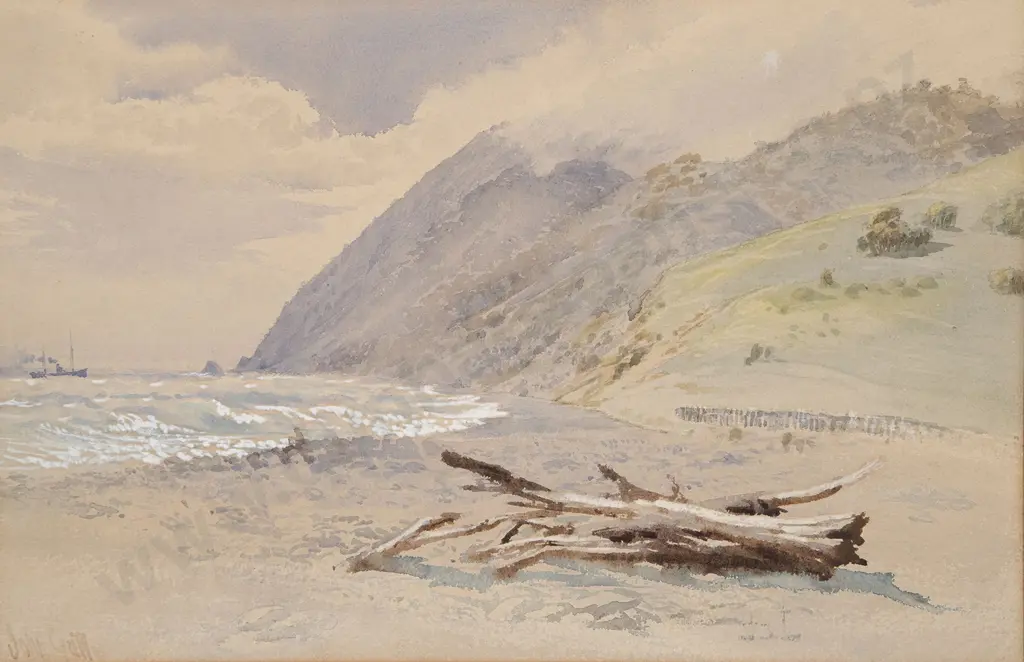 John Gully - Nelson Coastal Landscape Image 1++