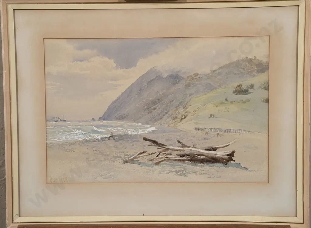 John Gully - Nelson Coastal Landscape Image 1++