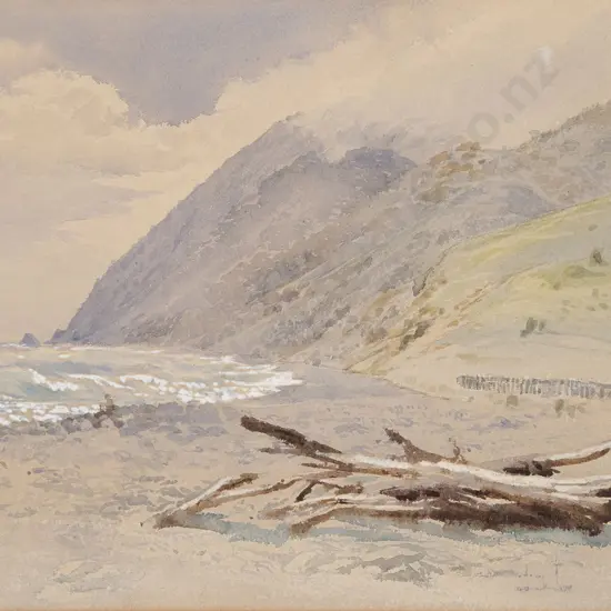 John Gully - Nelson Coastal Landscape