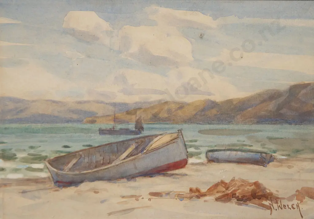Nugent Welch - Rona Bay Wellington Image 1++