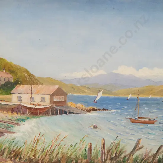 Unknown Colonial - Evans Bay