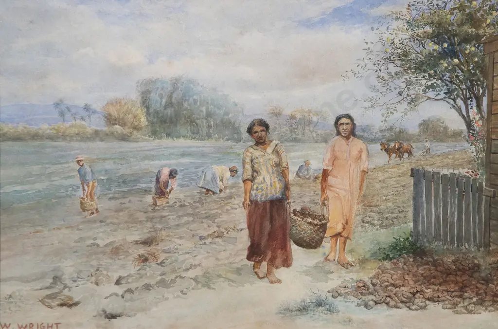 Walter Wright - Kumara Harvest Image 1++