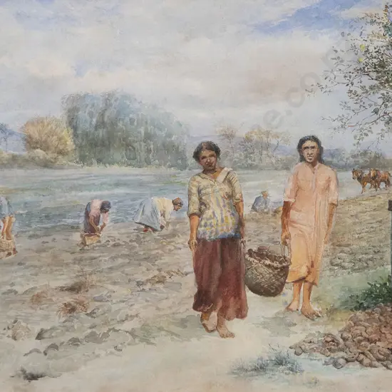 Walter Wright - Kumara Harvest