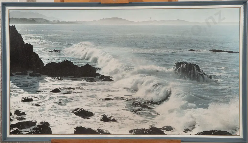 Whites Aviation - Kaikoura Coast N.Z Image 1++