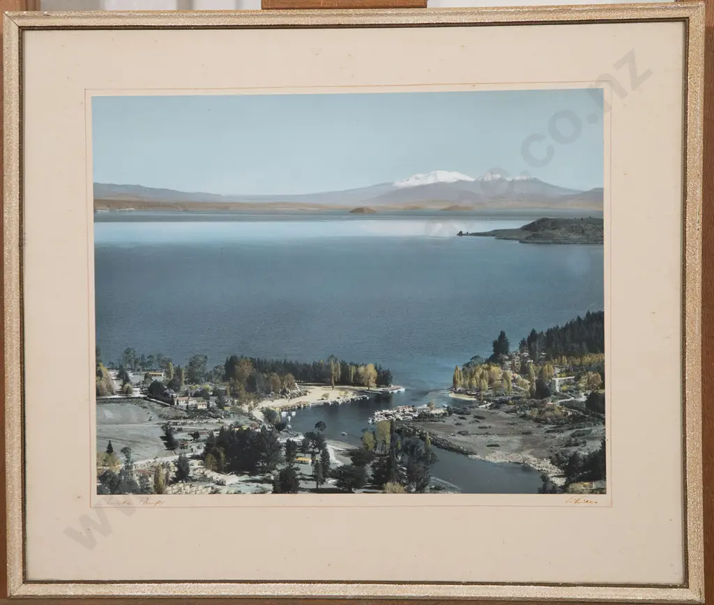 Whites Aviation - Lake Taupo Image 1++