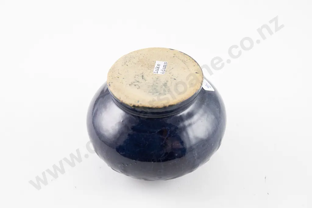Luke Adams Posey Pot Image 1++
