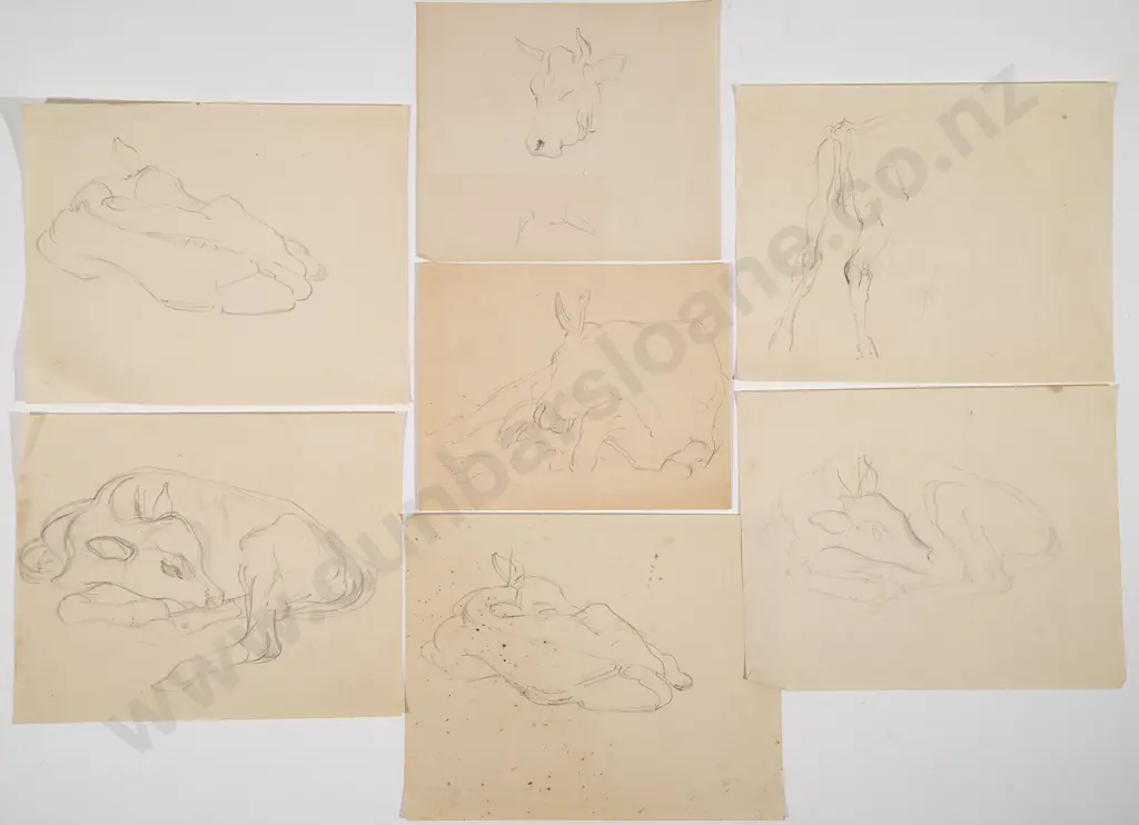 John Weeks - Collection of Cattle Studies (16) Image 1++
