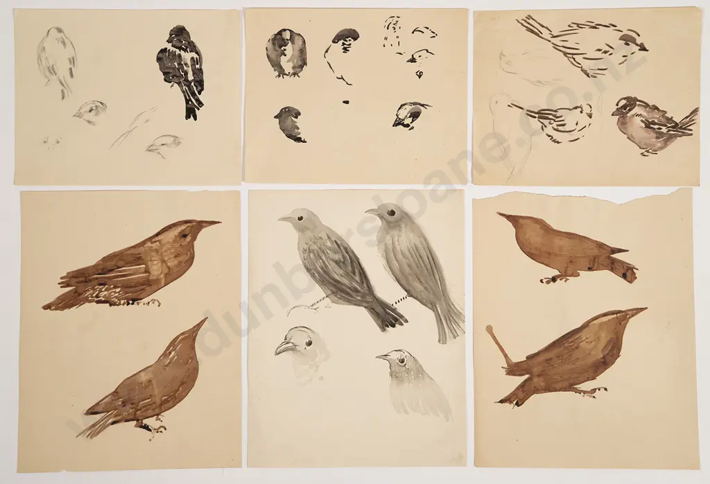 John Weeks (1888-1965) - Collection of Bird Studies (6) Image 1++