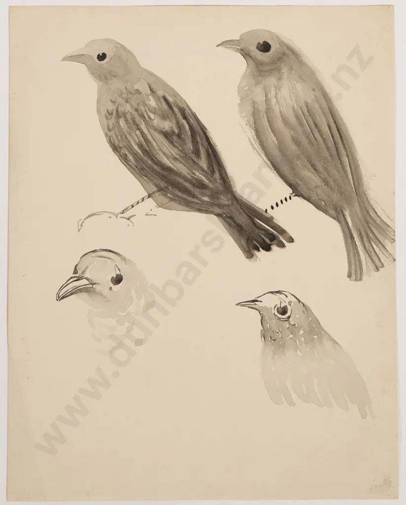 John Weeks (1888-1965) - Collection of Bird Studies (6) Image 1++
