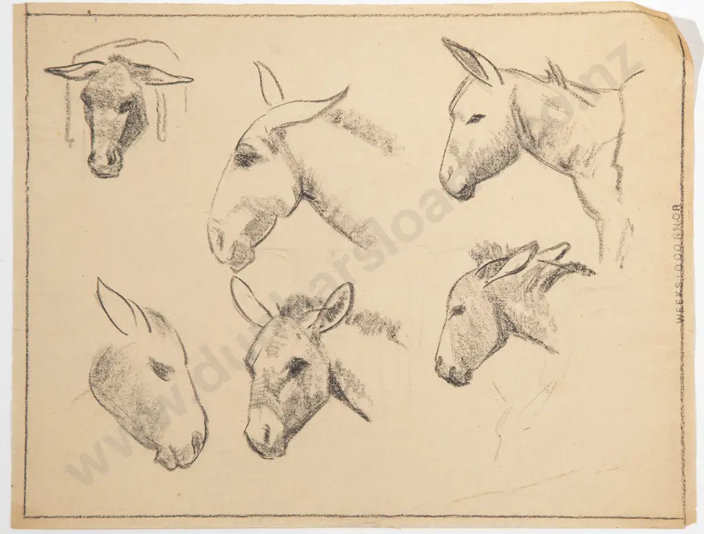 John Weeks - Collection of Mule & Camel Studies (8) Image 1++