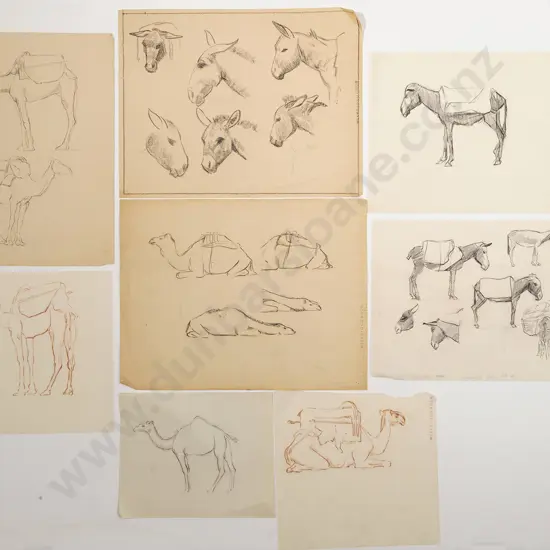 John Weeks - Collection of Mule & Camel Studies (8)
