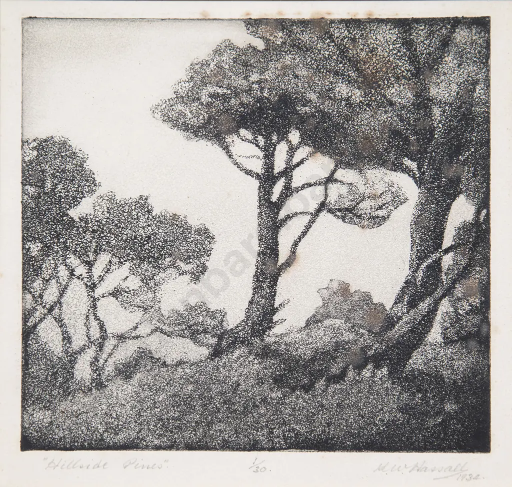 Ken Hassall - Hillside Pines Image 1++