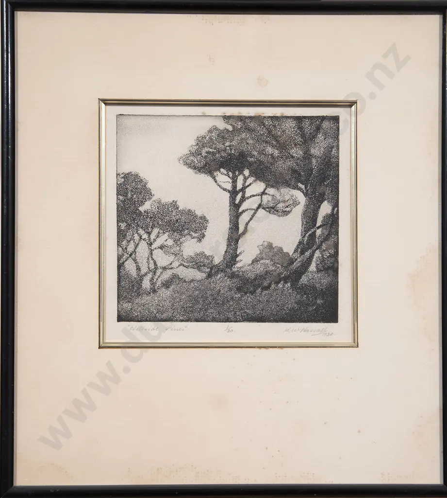 Ken Hassall - Hillside Pines Image 1++