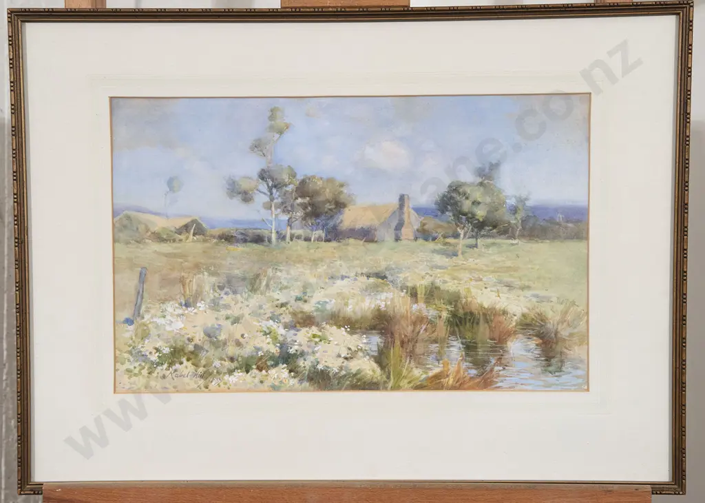 Mabel Hill - Wild Daisies Image 1++
