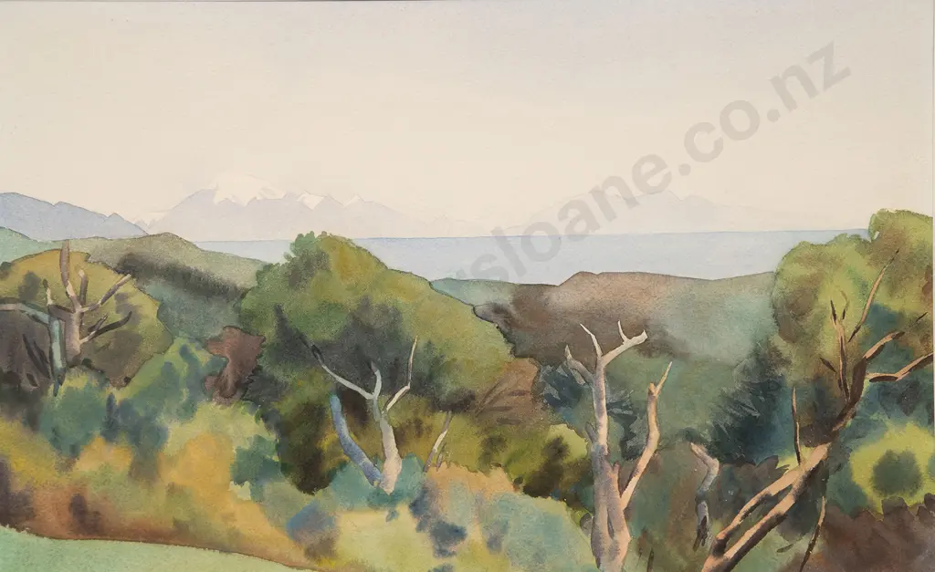 Robin Kay - The Kaikouras from Kerehoma Image 1++