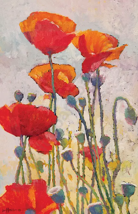 Ian Hamlin - Poppies Image 1++