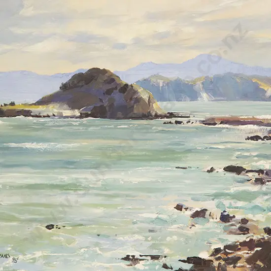 Peter Williams - Coastal Study