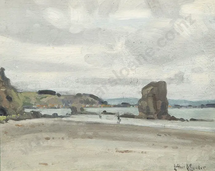 Arthur E Bunder - Shag Rock Christchurch Image 1++