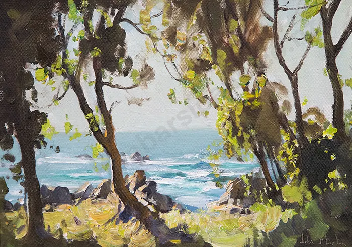 John S Loxton - Sunlit Coast Kaikoura Image 1++