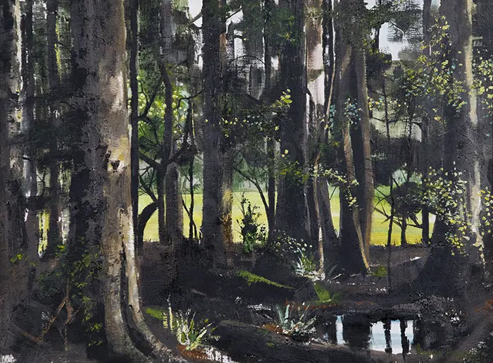 Graham Braddock - Wooded Landscape Image 1++