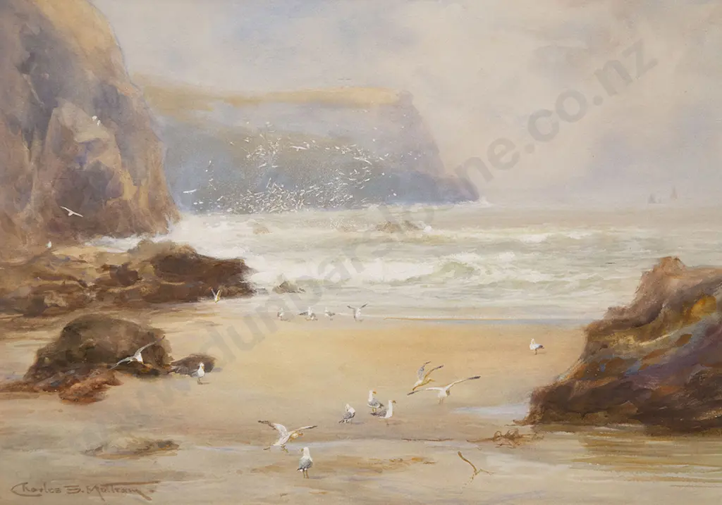 Charles S Mottram - Coastal Study With Seagulls Image 1++
