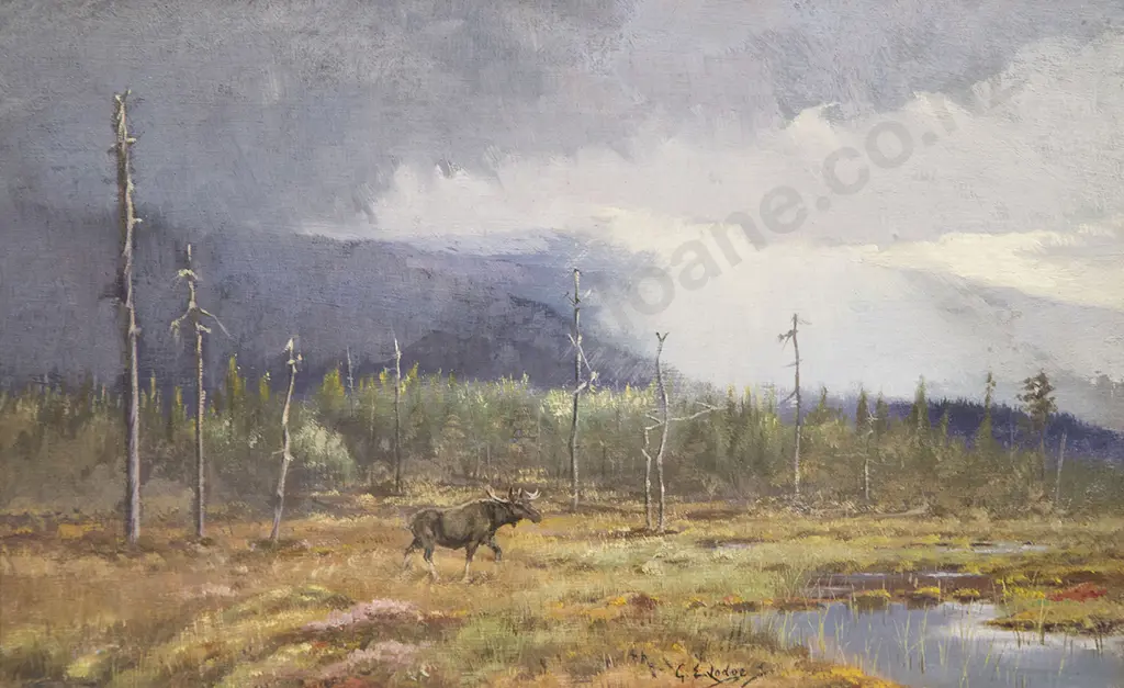 George Edward Lodge - Elk, Grondal Image 1++