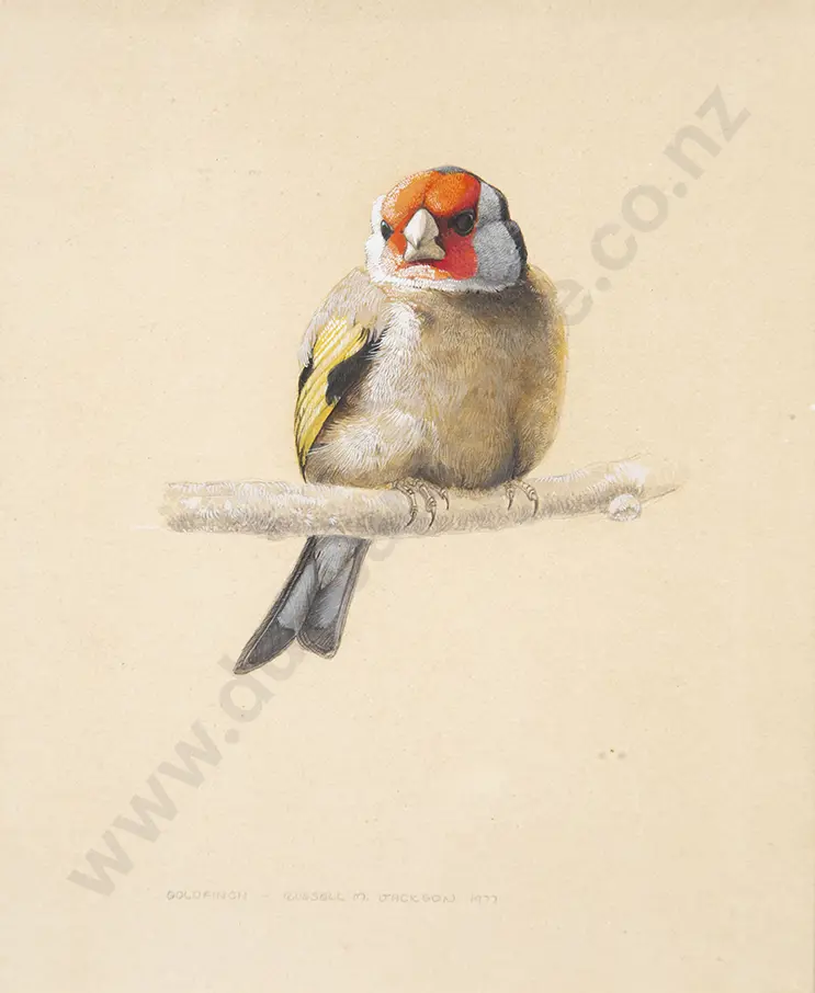 Russell Jackson - Goldfinch Image 1++