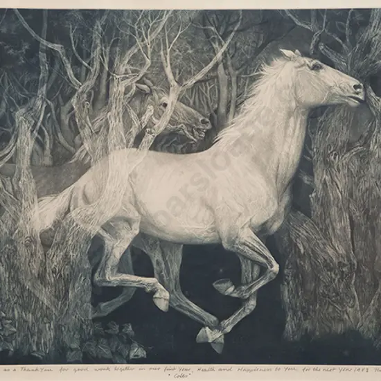 Gatja Rothe - Colts