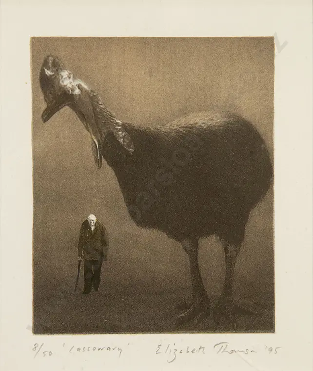 Elizabeth Thomson - Cassawary Image 1++