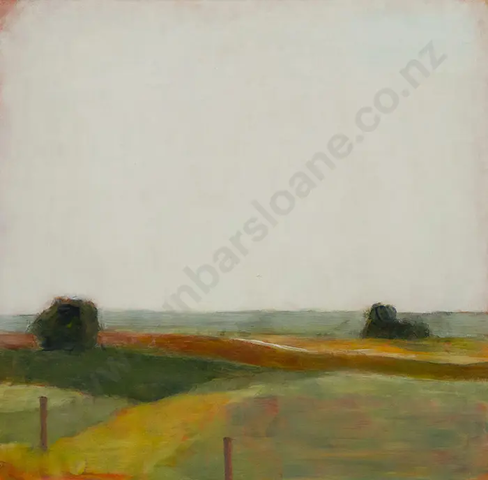 Neville Smitheram - Takaka Nelson Image 1++