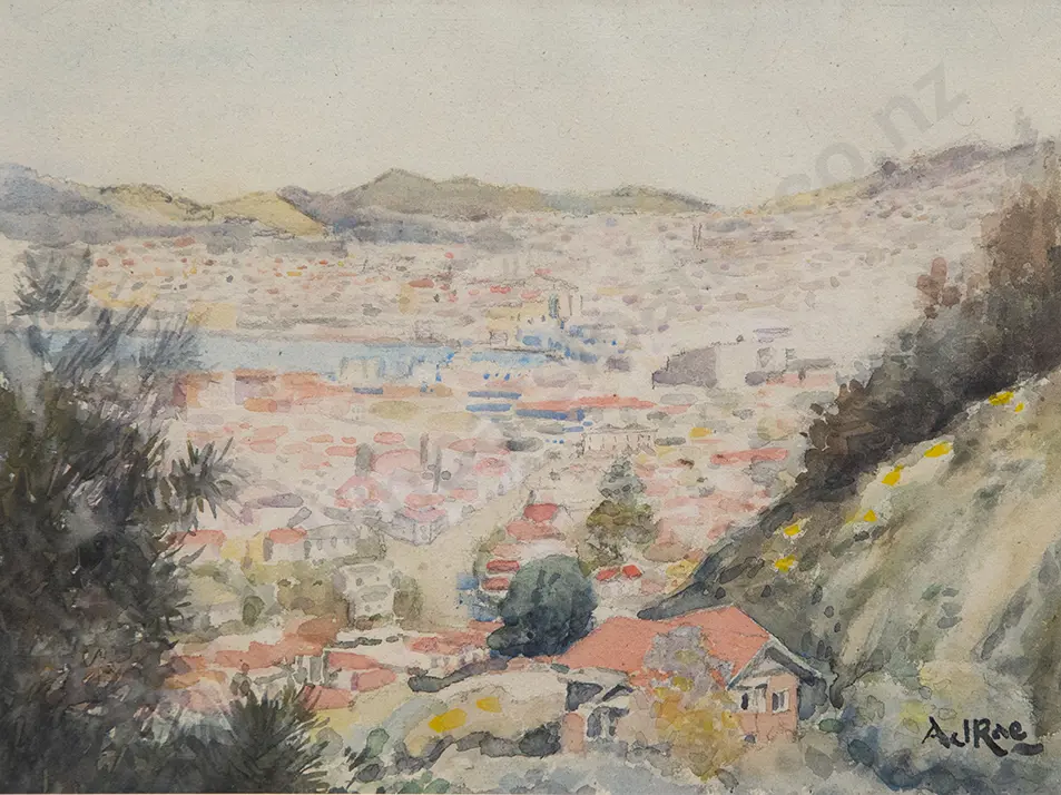 A J Rae - View from Wadestown Road Image 1++