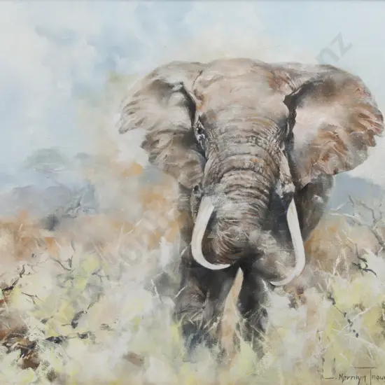 Merrilyn Jaquiery - Elephant
