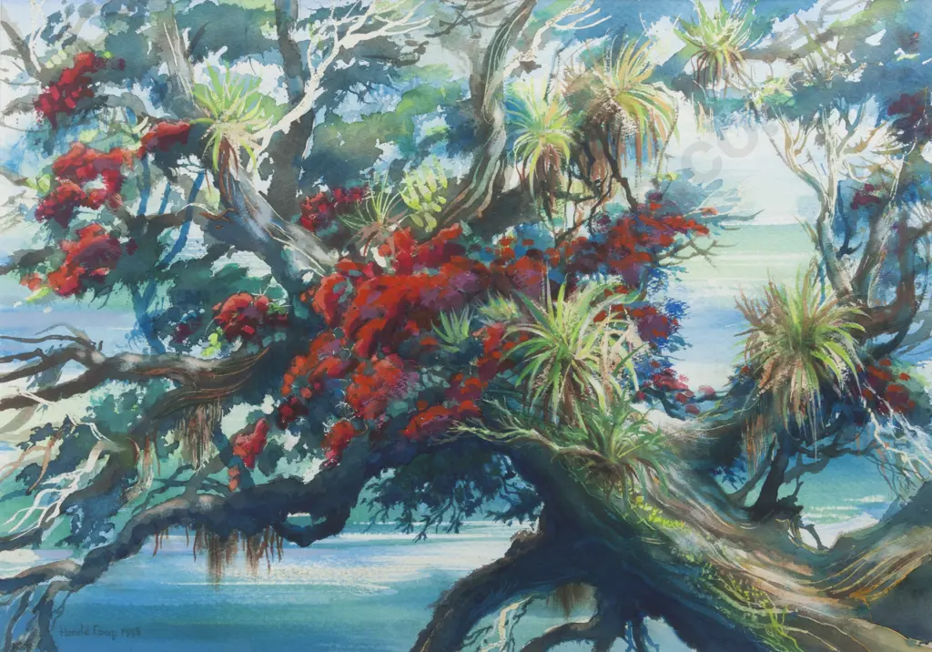 Harold Coop - Pohutukawa Image 1++