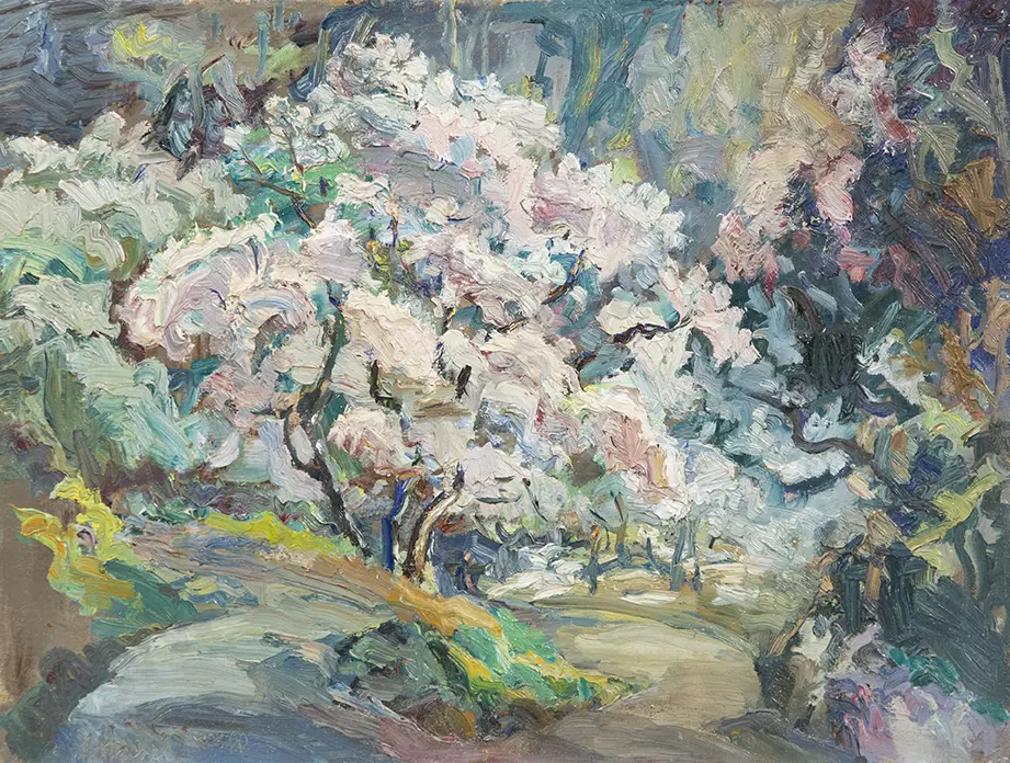 Mabel Still - Magnolias in Botanic Gardens Image 1++