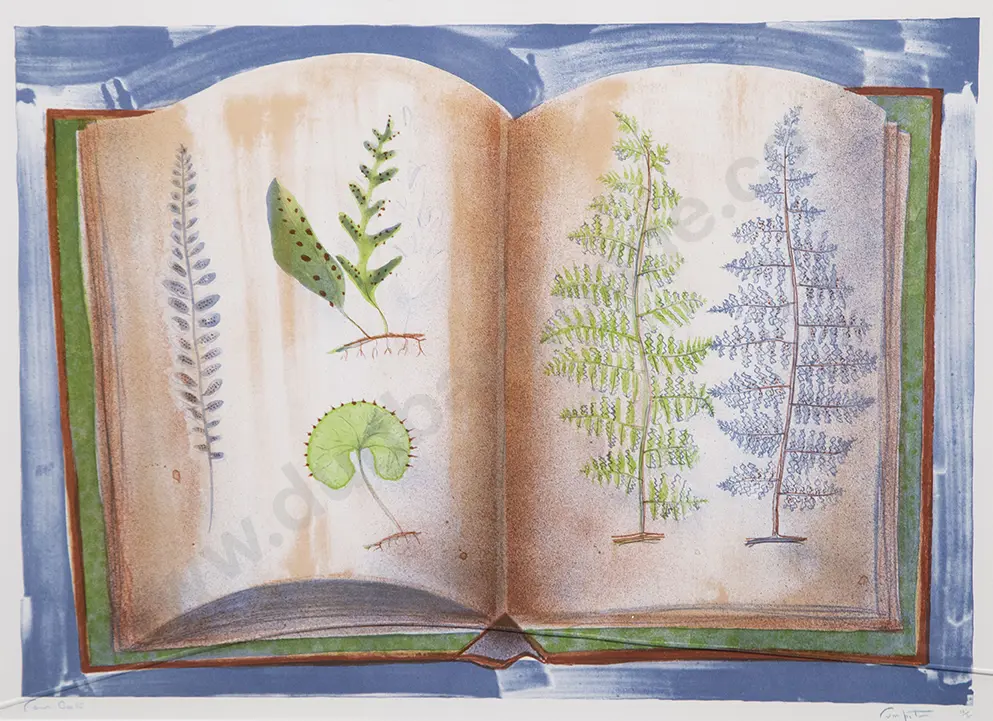 Rodney Fumpston - Fern Book Image 1++