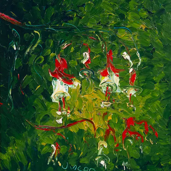 Vincent - Fushia