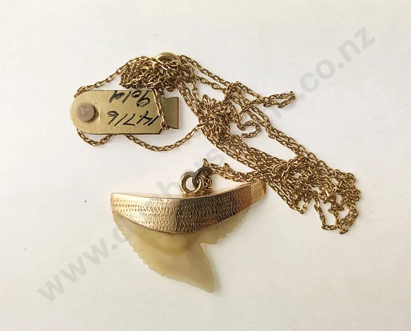 18ct Mounted Shark Tooth Pendant Image 1++