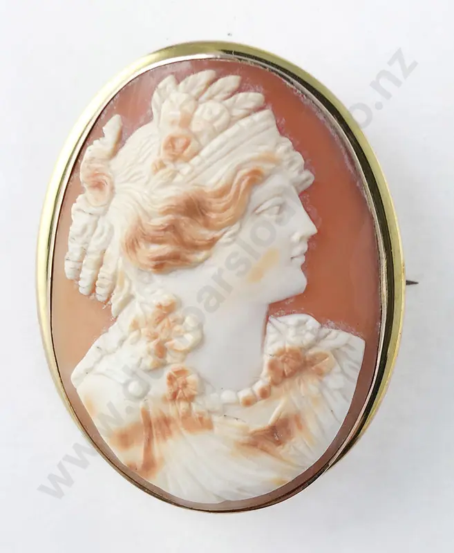 9ct Framed Grand Tour Cameo Brooch Image 1++
