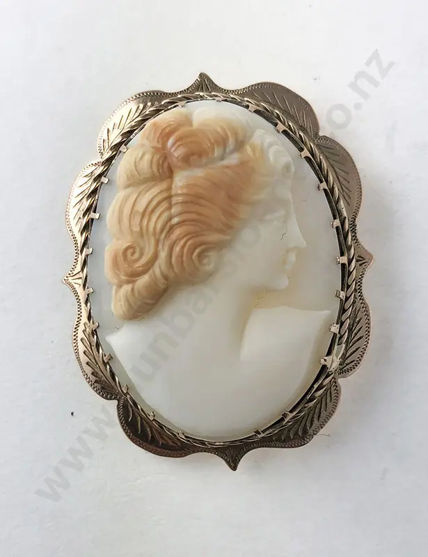 9ct Framed Cameo Brooch Image 1++