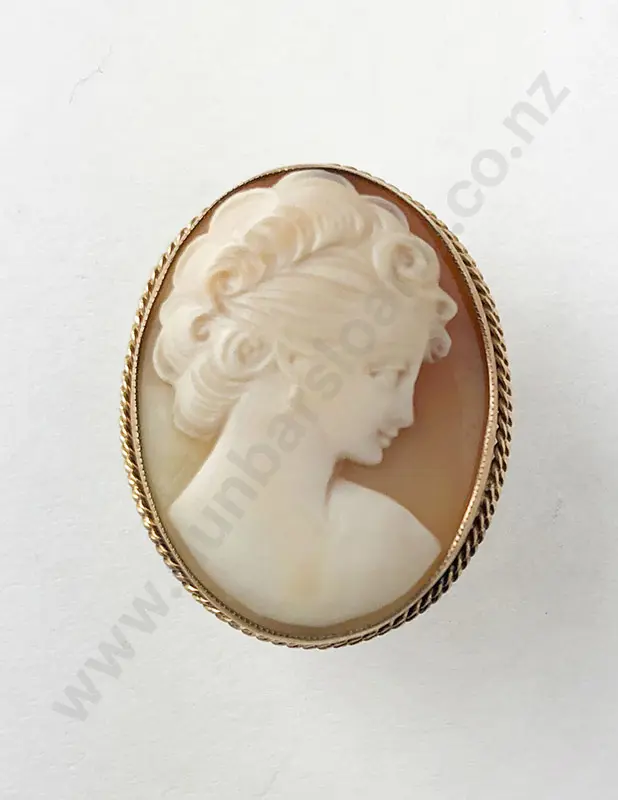 9ct Framed Cameo Brooch Image 1++